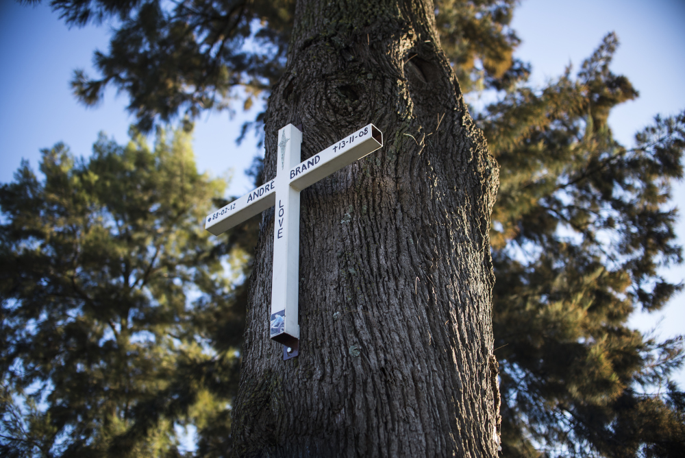 A white cross hanging in a tree against a blue sky